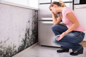 Why You Should Choose Our Mold Remediation Services in Cherry Valley, CA